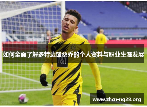 如何全面了解多特边锋桑乔的个人资料与职业生涯发展 如何全面了解多特边锋桑乔的个人资料与职业生涯发展