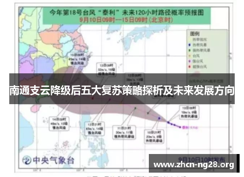 南通支云降级后五大复苏策略探析及未来发展方向 南通支云降级后五大复苏策略探析及未来发展方向