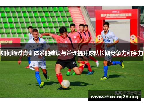 如何通过青训体系的建设与管理提升球队长期竞争力和实力